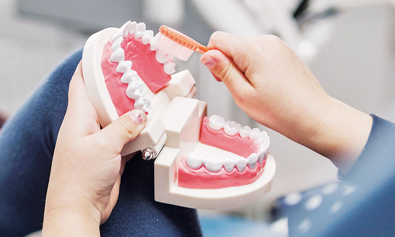 Zähne putzen | Praxis Dr. med. dent. Goller - Schallstadt